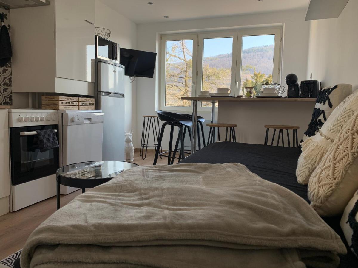 Le Cocon Apartment กีบวิลเลอร์ ภายนอก รูปภาพ